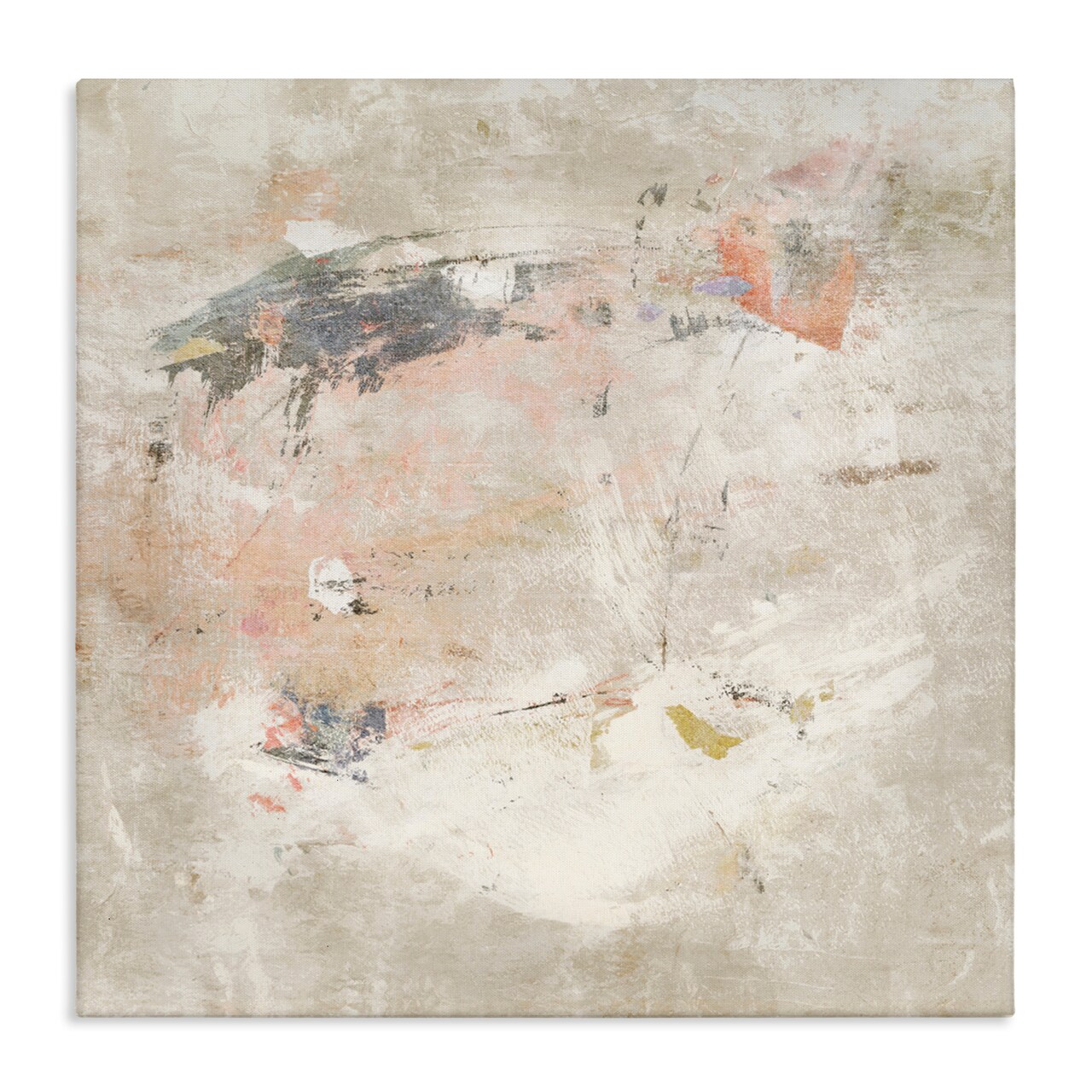 Stupell Industries Distressed Pale Neutrals Canvas Wall Art Design by Suzanne Nicoll